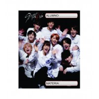 Stray Kids 6